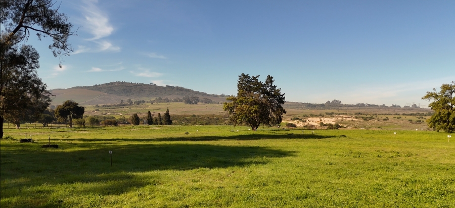 0 Bedroom Property for Sale in Haasendal Western Cape